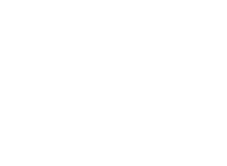 Jan von Witzleben